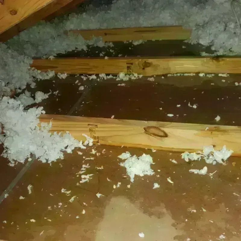 Attic Water Damage in Tom Bean, TX